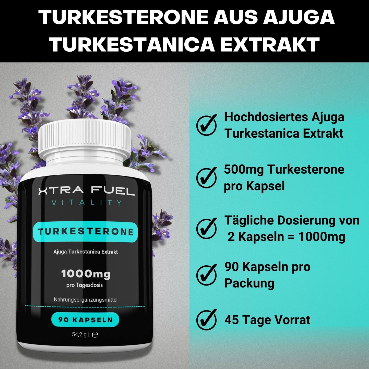 Turkesterone Kapseln - 1000mg Ajuga Turkestanica - Beliebt im Bodybuilding